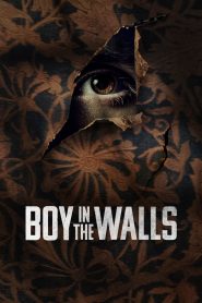 Boy in the Walls