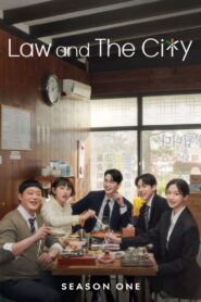 Law and the City: Season 1