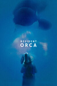 Resident Orca