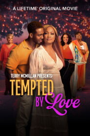 Terry McMillan Presents: Tempted 2 Love