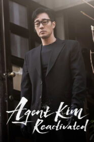 Agent Kim Reactivated: Season 1